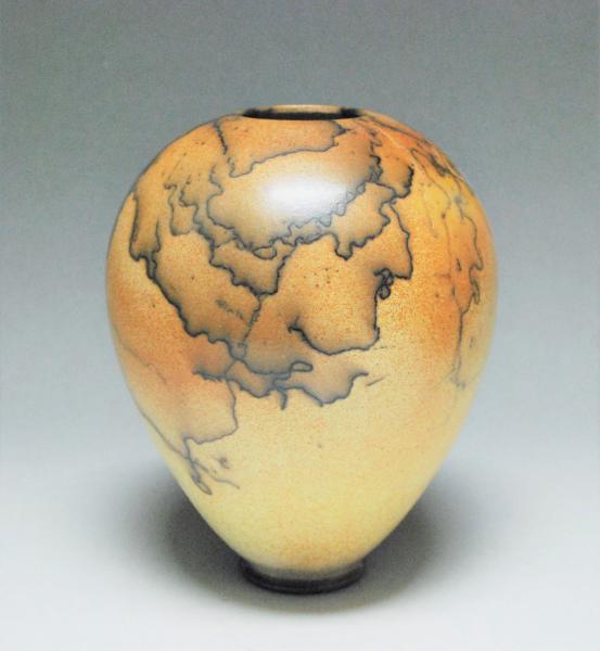 Horsehair Raku Vessel picture