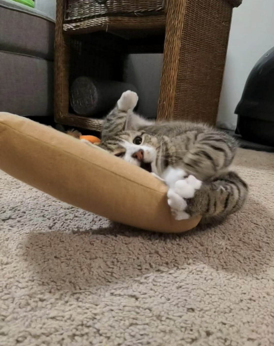 French Bread Kicker picture