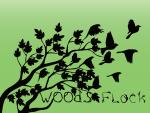 Woods Flock Furry Camp & Outdoor Events