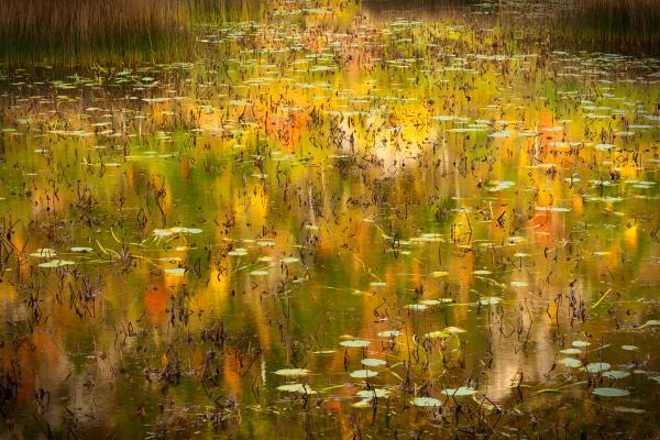 Fall Reflections in the Tarn Acadia NP Maine-6275 - 24X16 - Aluminum Print