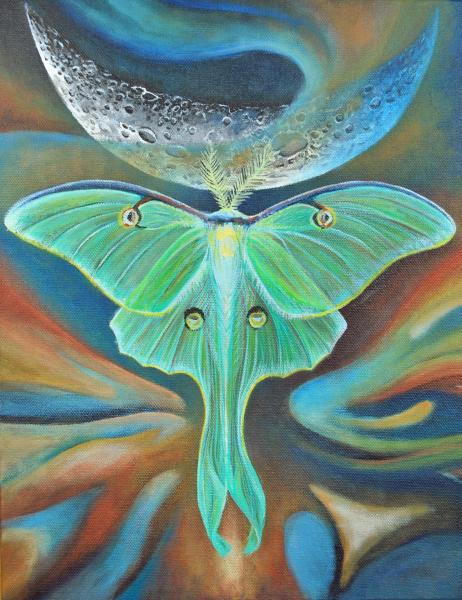 Luna Moth Print picture