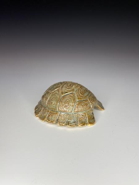 Textured Green Turtle Shell picture