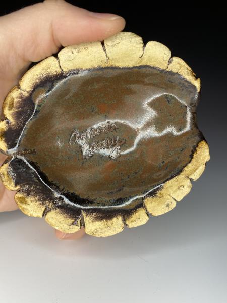 Antique Brown Turtle Shell picture