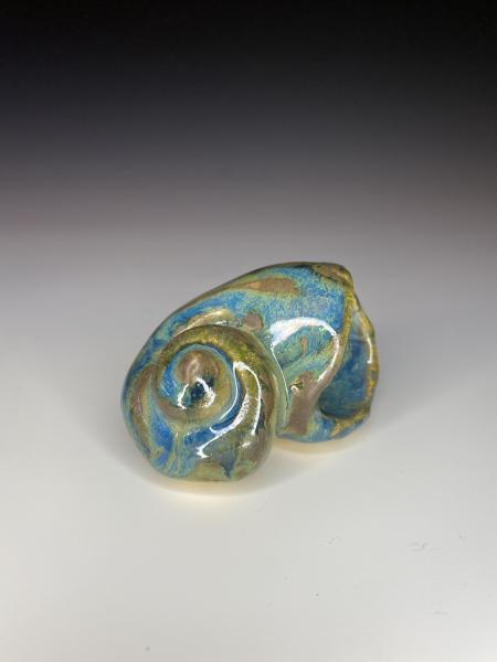 Steel, Blue, & Green Apple Snail picture