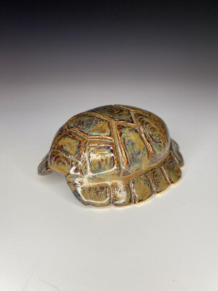 Antique Brown Turtle Shell picture