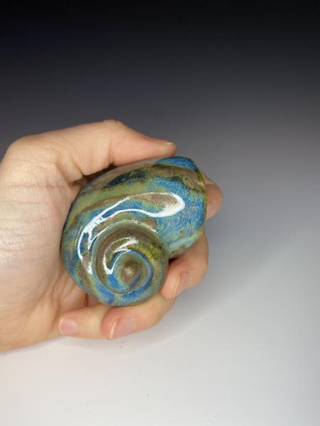 Steel, Blue, & Green Apple Snail picture