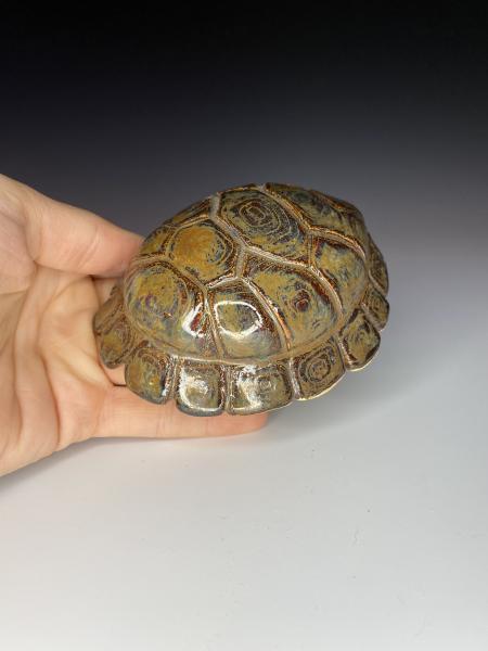 Antique Brown Turtle Shell