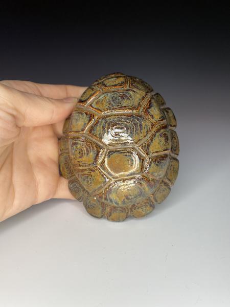Antique Brown Turtle Shell picture