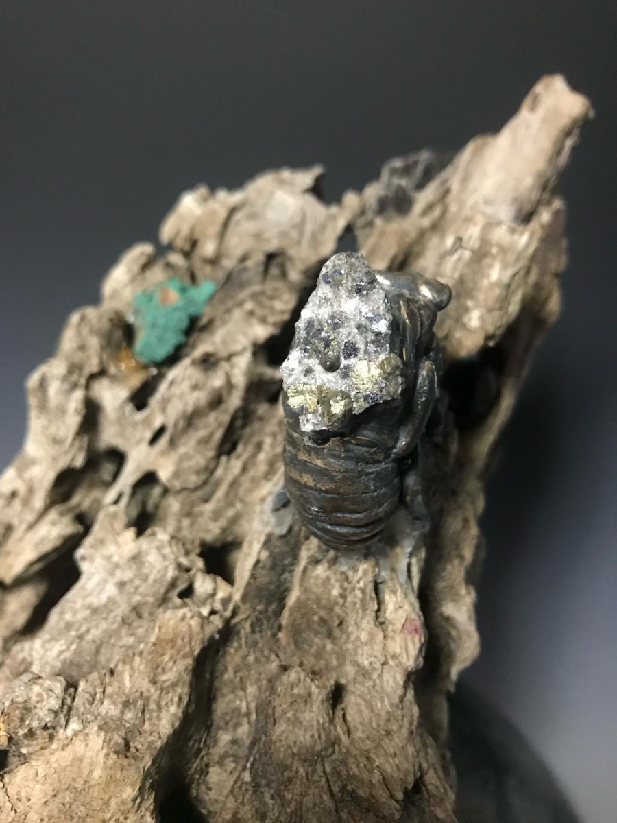 “Emergence and the Unforeseen” picture