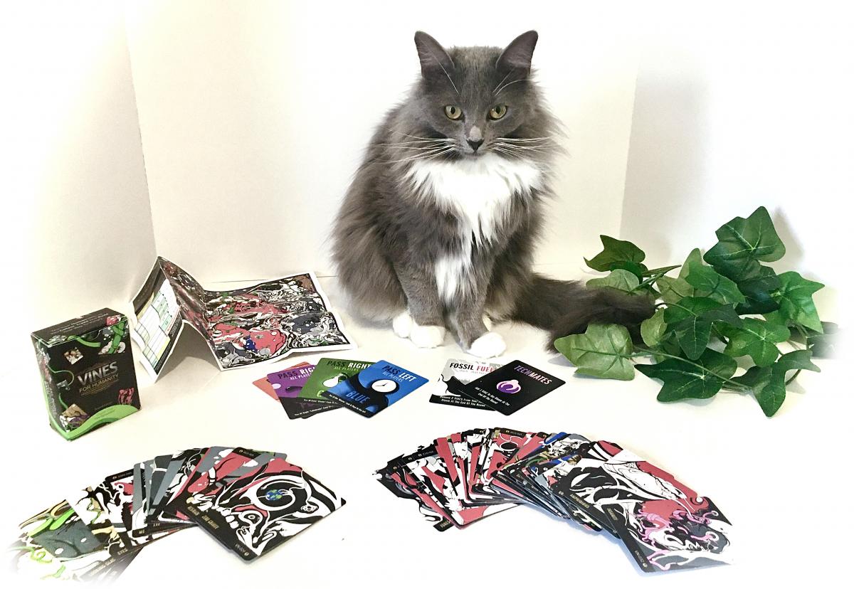 VINES for Humanity picture