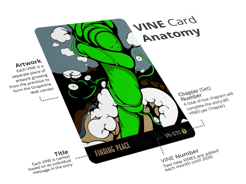 VINES for Humanity picture