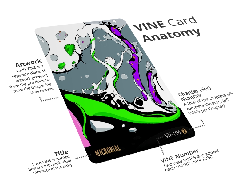 VINES for Humanity picture