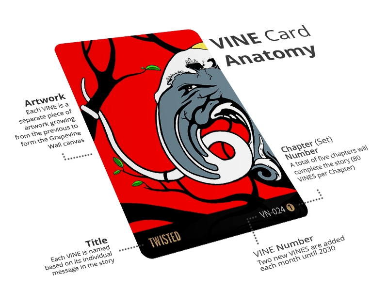 VINES for Humanity picture