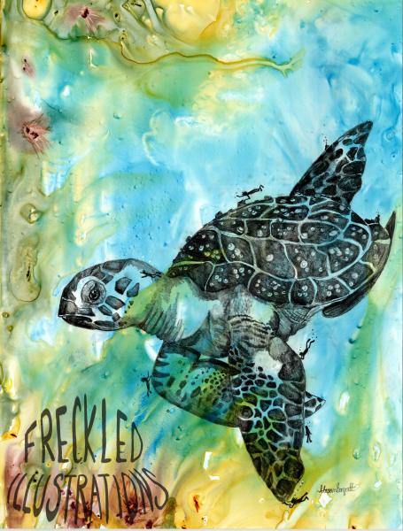 Sea Turtle picture