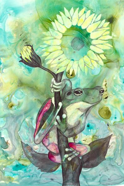 Sunflower Frog picture