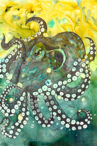 Green Octopus picture