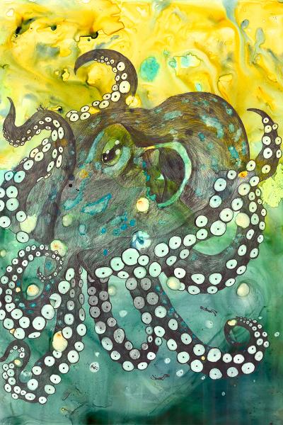 Green Octopus