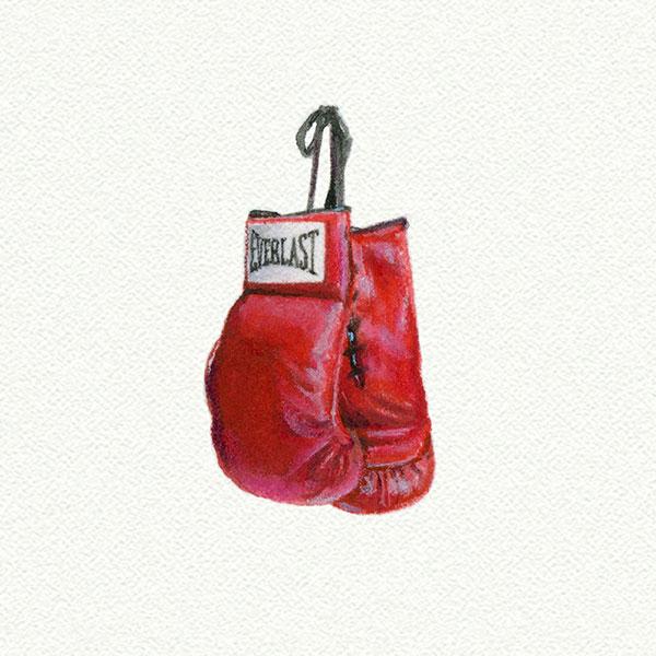 Boxing Gloves picture