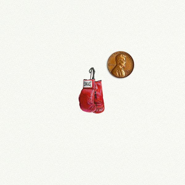 Boxing Gloves picture