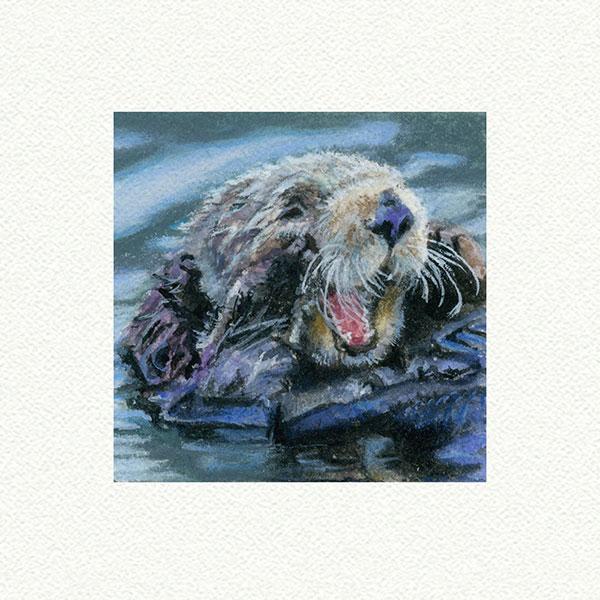 Sea Otter picture