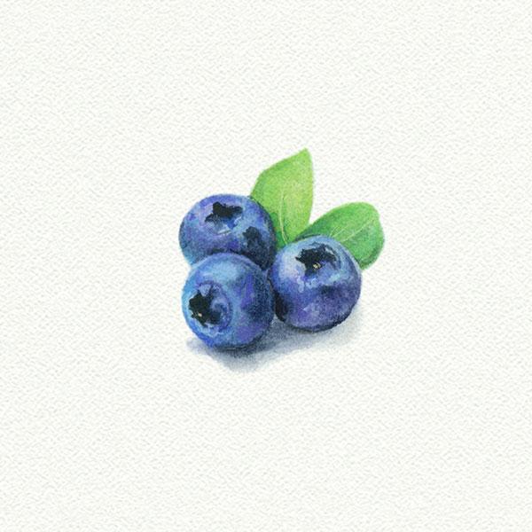 Blueberries picture