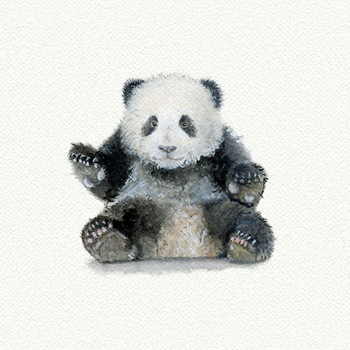 Panda picture