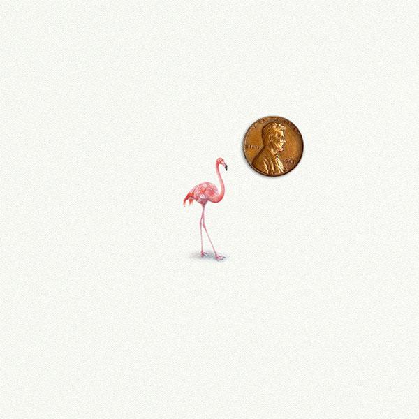 Flamingo picture