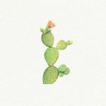 prickly pear cactus