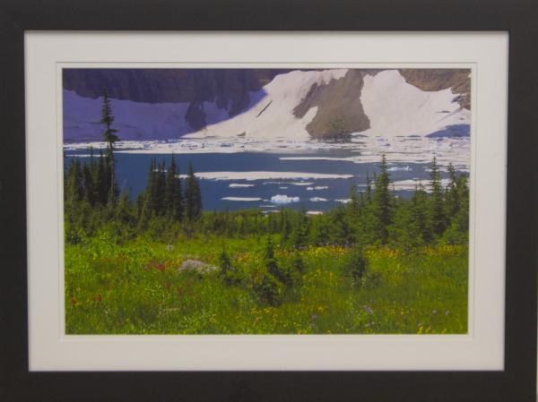 Iceberg Lake picture