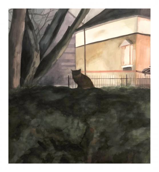 Nocturnal Witness