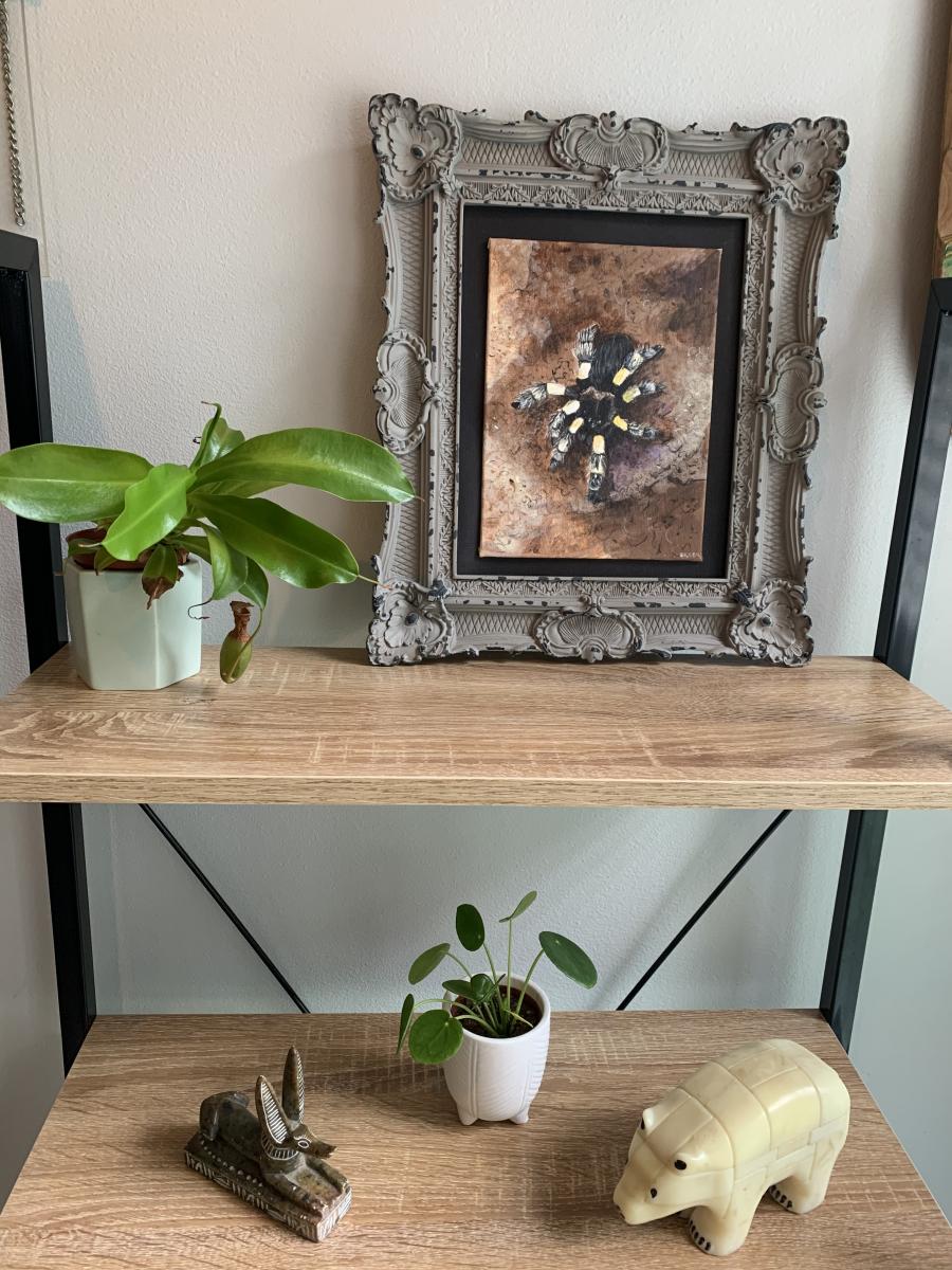 Tarantula Attack picture