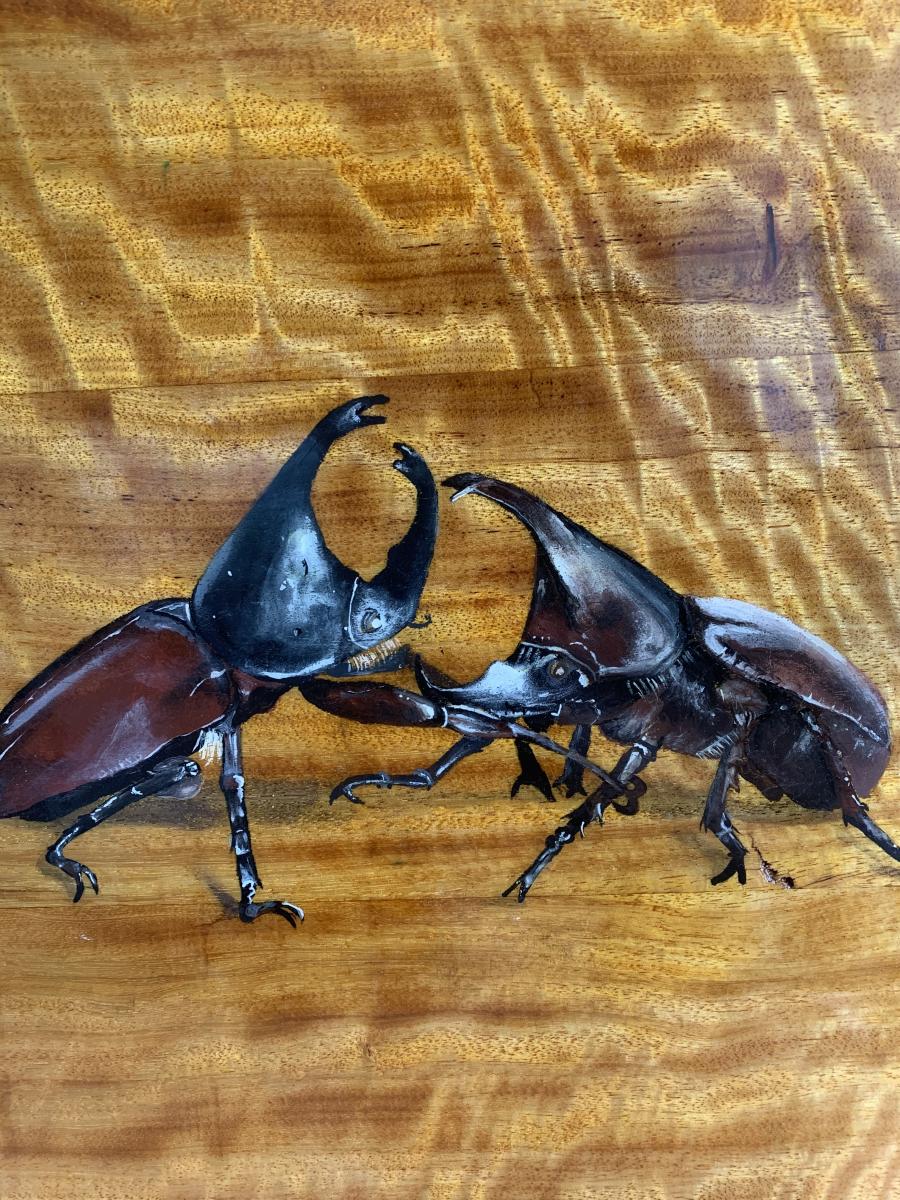 Fighting Beetles picture