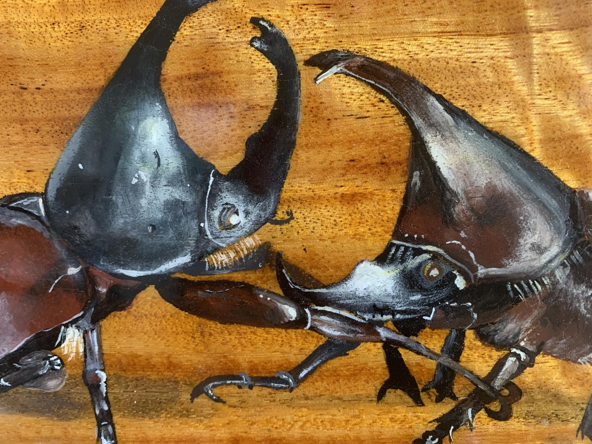 Fighting Beetles picture