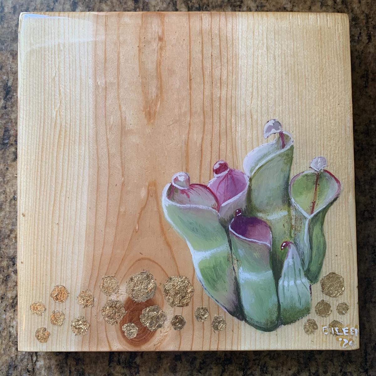 Pitcher Plants with Bling picture