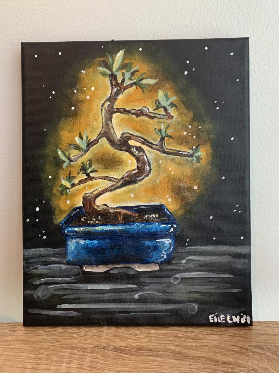 Fukien Tea Bonsai picture