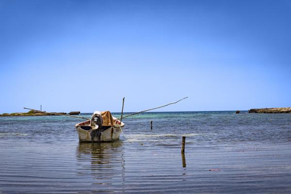 The Lone Boat picture