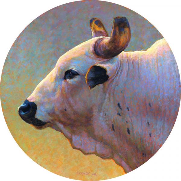 "Bull Profile #3 (Gabriel)" picture
