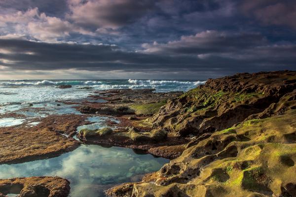 Ocean Storm picture