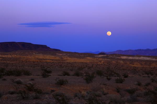 Desert Moon