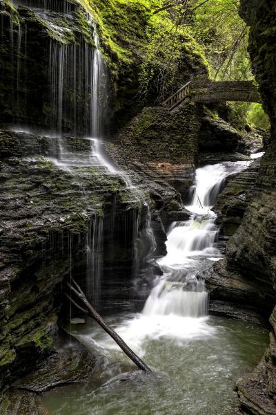 Creek Cascades