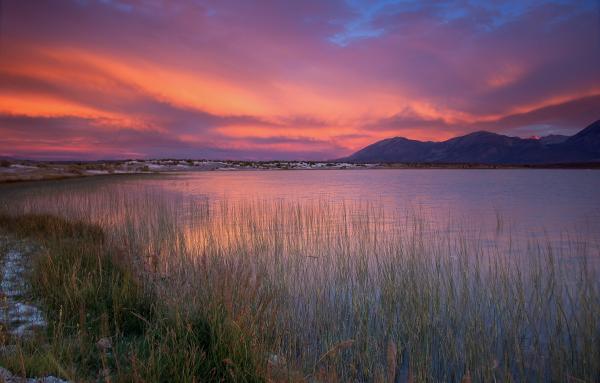 Sierra Sunset