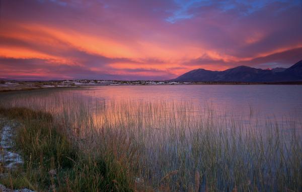 Sierra Sunset picture