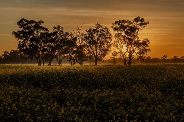 Sunburnt Country