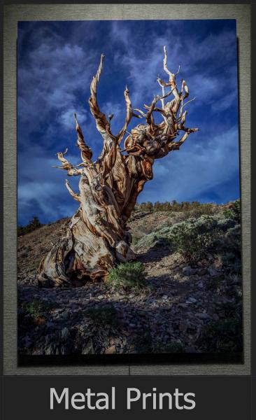 Big Sur picture