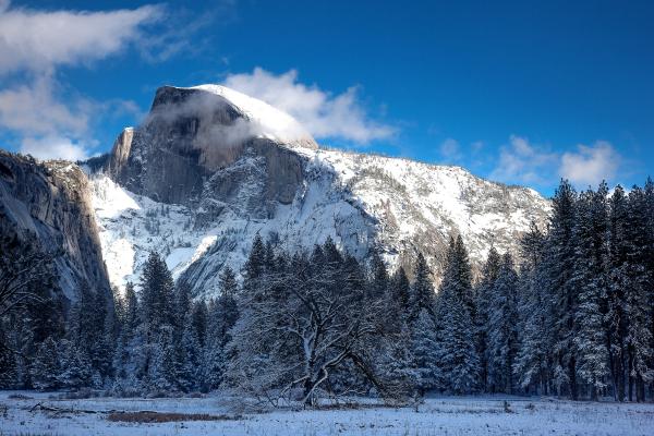 Snowy Dome picture