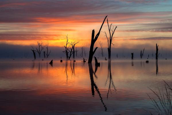 Sunrise Fog picture