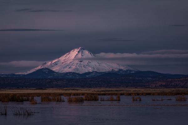 Shasta Light picture