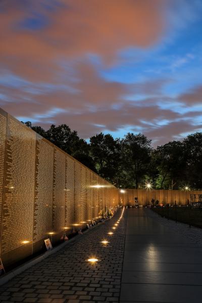 Vietnam Memorial picture