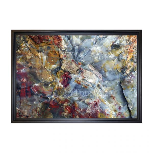 Petrified - framed canvas print