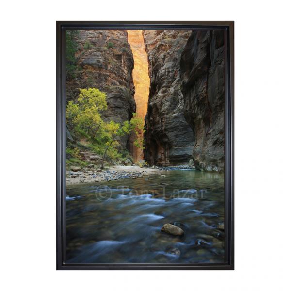 Wall Street - Zion NP picture